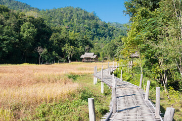 Fototapeta na wymiar Beautiful scenic view from Pai Bamboo Bridge (Boon Ko Ku So) in Pai, Mae Hong Son Province, Thailand.