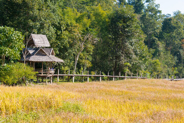 Obraz premium Beautiful scenic view from Pai Bamboo Bridge (Boon Ko Ku So) in Pai, Mae Hong Son Province, Thailand.