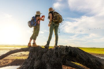 Hikers on the tree stump in the parched lake. - 363521876