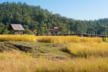 Beautiful scenic view from Pai Bamboo Bridge (Boon Ko Ku So) in Pai, Mae Hong Son Province, Thailand.