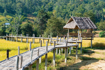Fototapeta na wymiar Pai Bamboo Bridge (Boon Ko Ku So) in Pai, Mae Hong Son Province, Thailand.