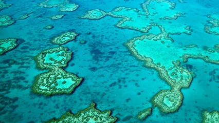 Great Barrier Reef in Whitsunday Island, QLD Australia