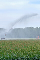 irrigation of crops from the device to water the fields in the background, in the Netherlands