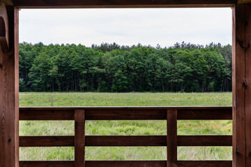 Nature landscape view from wooden platform point view in Polesie National Park. Forest and meadow landscape. Poland, Europe.