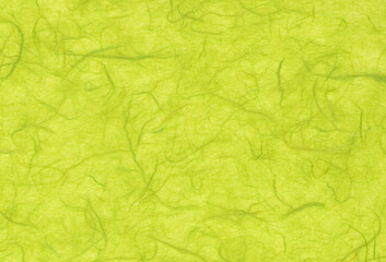 Hand crafted bright green mulberry paper background with inclusions of natural fibers. Extra large highly detailed image.