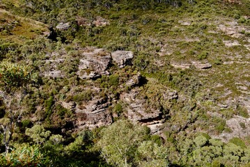 The cliffs in the Blue Mountains, Australia