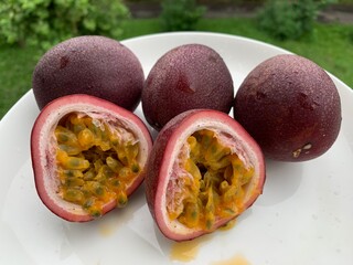 round passion fruit, purple, brown, laying on my hand on the balcony of the condo