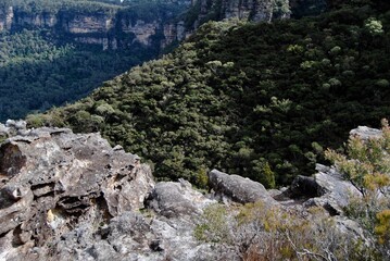 The cliffs in the Blue Mountains, Australia