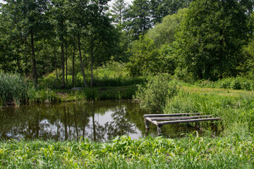 Fototapeta na wymiar Pretty landscape with a pond among a greenery in the summer season in Ukraine.