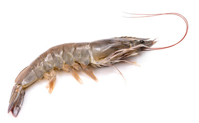 Banana prawn or shrimp isolated on white background, White shrimp isolated on white background