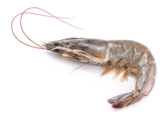 Banana prawn or shrimp isolated on white background, White shrimp isolated on white background