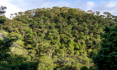 Small hill, covered by dense tropical forest, with blue sky in the background, Areal city, state of Rio de Janeiro, Brazil