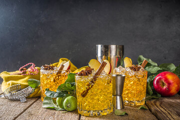 Apple cider cocktail with spices . Traditional fall and winter cold beverage