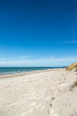 Baltic Sea Day At The Beach