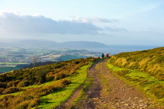 View from Beacon Hill in the Quantocks, Somerset, towards Exmoor, UK