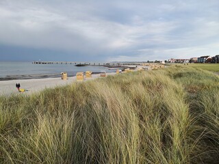 Schoenberg beach with pier and marram grass