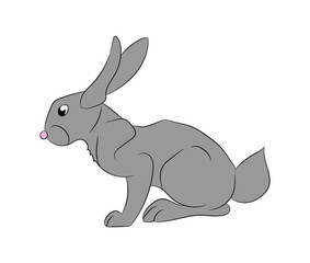 vector illustration of a rabbit that sits, drawing color, vector
