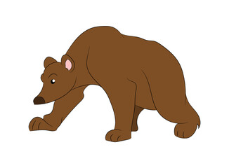 Obraz premium vector illustration of a bear standing, drawing color, vector