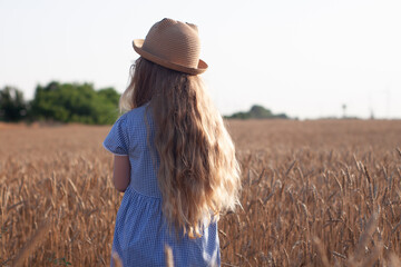 Adorable little girl in a straw hat and blue plaid summer dress in wheat field. Child with long blonde wavy hair on countryside landscape with spikelet in hand. Farming agriculture harvesting concept.