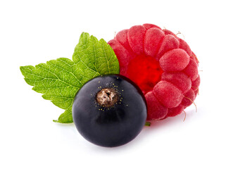 Black currant berry with raspberry on White Background. Ripe berries isolated.