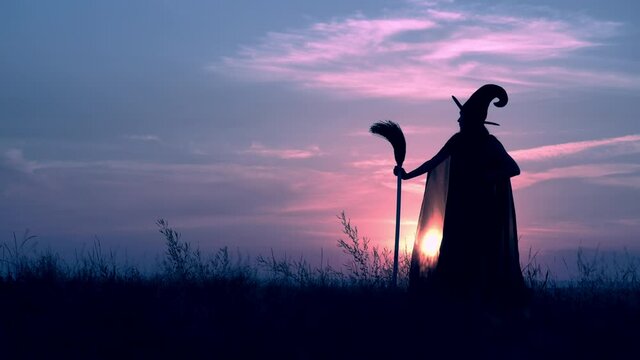 sorceress in hat and cloak holding besom standing on the field view on evening blue sky halloween holiday