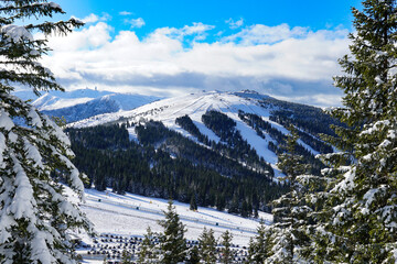snow covered mountains