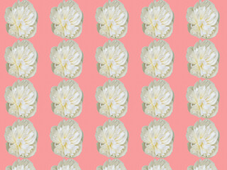 flower pattern, for packaging and Wallpaper, beautiful floral background