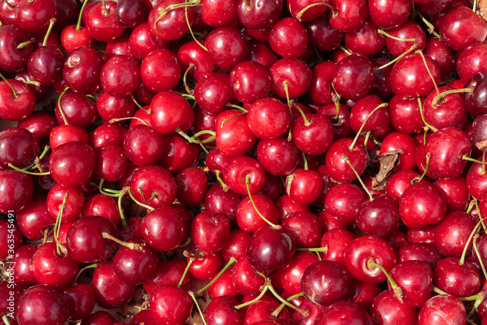 Wall mural Fresh cherry on the counter of a street market. Healthy eating concept.