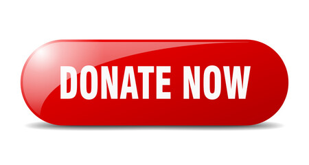 donate now button. donate now sign. key. push button.