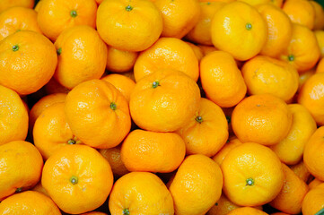 Fresh Mandarin Oranges