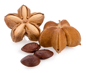 sacha inchi isolated on white background