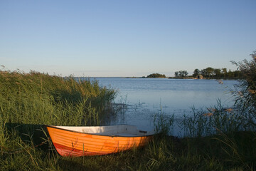 Gelbes Boot liegt im Schilf am Ufer in Schweden