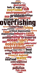 Overfishing word cloud
