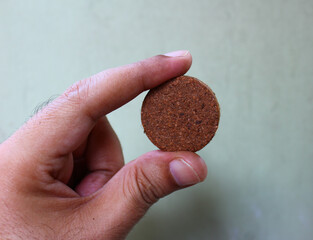 Hand holding coco peat disc for seed germination