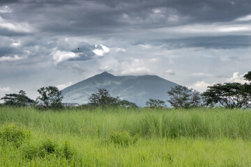 Fototapeta na wymiar Grassy Field and Beautiful Volcano in Distance at Dusk - Mt. Arayat, Pampanga, Luzon, Philippines