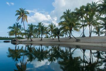 reflection of island palm trees in water