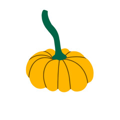 Yellow pumpkin isolated on a white background . Pumpkin for Halloween and thanksgiving day design. Organic autumn vegetables. vector flat illustration