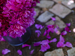 purple flowers