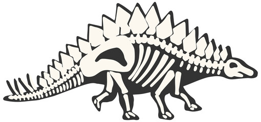 Fototapeta na wymiar X-Ray Dino Skeleton Stegosaurus clipart hand drawn isolated on white background