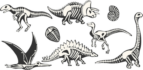 X-Ray Dino Skeleton clipart set hand drawn isolated on white background © Anastasiia