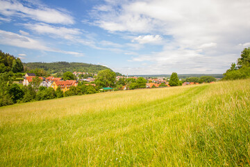 Landscape with meadows and forest in summer near Hildburghausen in Thuringia (Thüringen), Germany