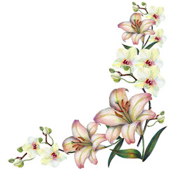 Obraz na płótnie Canvas Watercolor bouquet white orchid with lily on white background. Floral corner illustration.