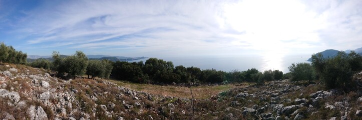 landscape with olive trees, sea and blue sky on a mountain cliff