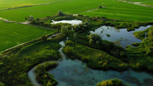 Wetland rice fields in valencia spain aerial view