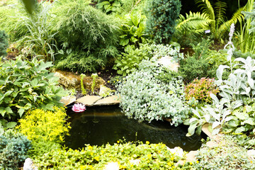 beautiful formal garden with pond, spruce, pine tree, roses
