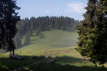 Beautiful summer landscapes in Carpatian mountains, travel outdoor concept view of the meadow...