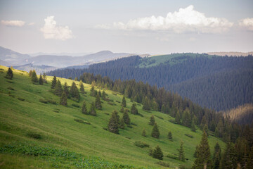 Fototapeta na wymiar Landscape view of summer mountain green meadow. Carpathians, Marmaroshchyna, Maramures, Ukraine