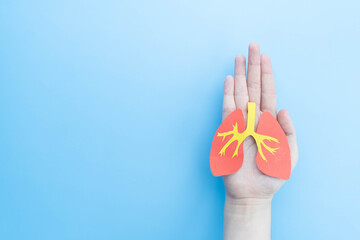 Pulmonary disease treatment and lung transplant concept. Human hands holding healthy lung shape...