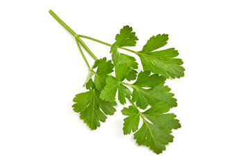 Fresh parsley, isolated on a white backgroound