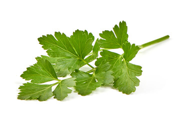 Fresh organic parsley, isolated on a white background